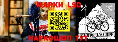 стафф Донецк