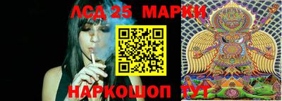 стафф Донецк