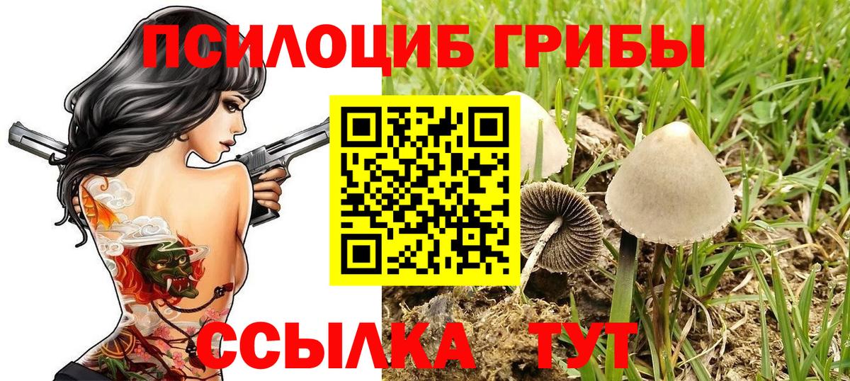 купить наркотик  Вход с VPN  Норильск  Псилоцибиновые грибы ЛСД  Псилоцибиновые грибы ЛСД 